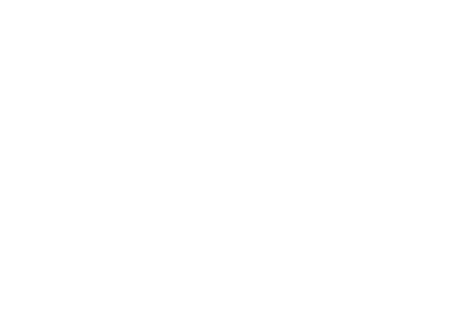 Logo for 2024 connecticut Spring boat show