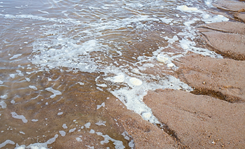 Foam in the ocean water near rocks is a sign a non eco-friendly waters