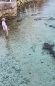 A man stands up with black sharks coming around him.