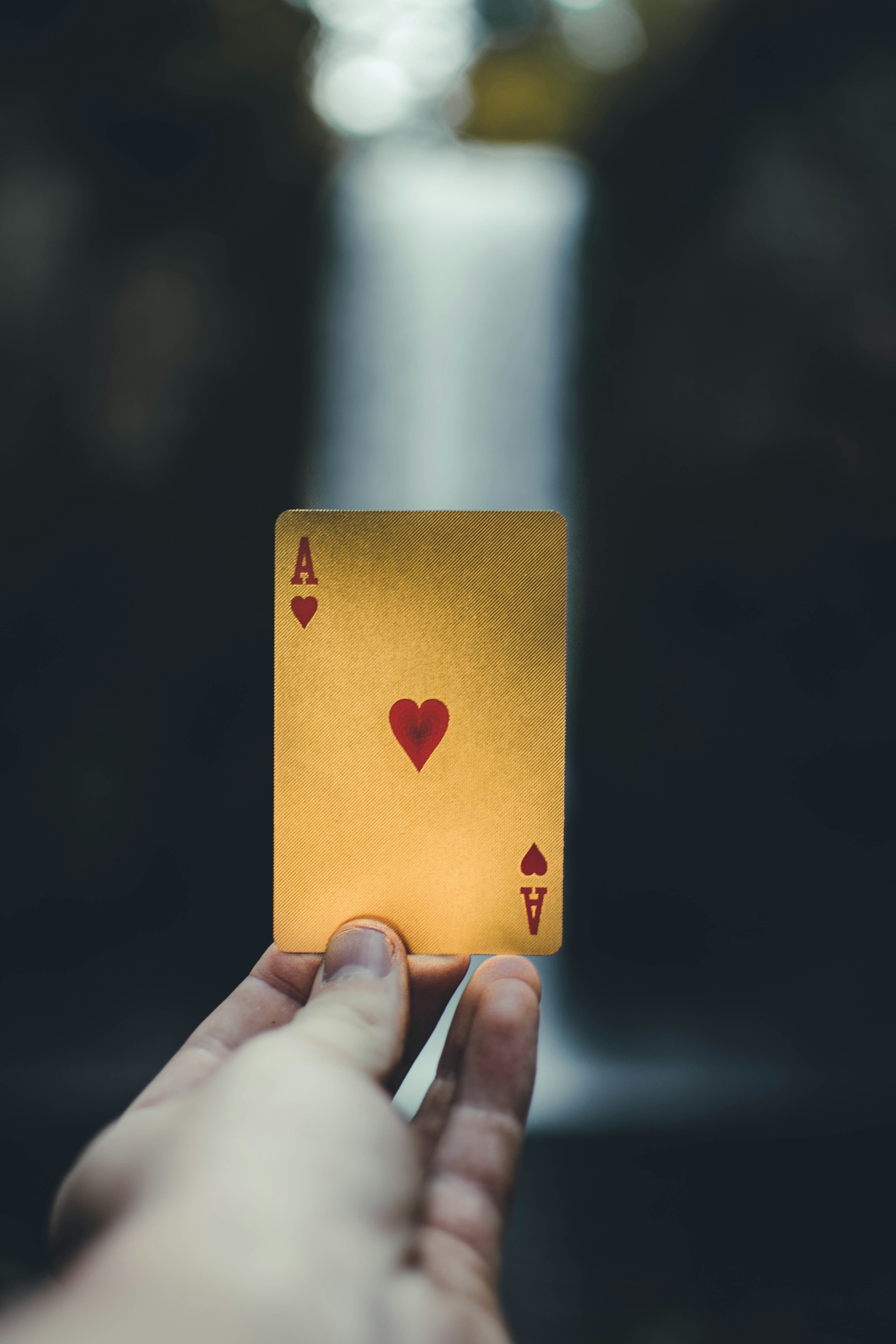Play Big at Yukon Gold Casino: Your Guide to Winning Big