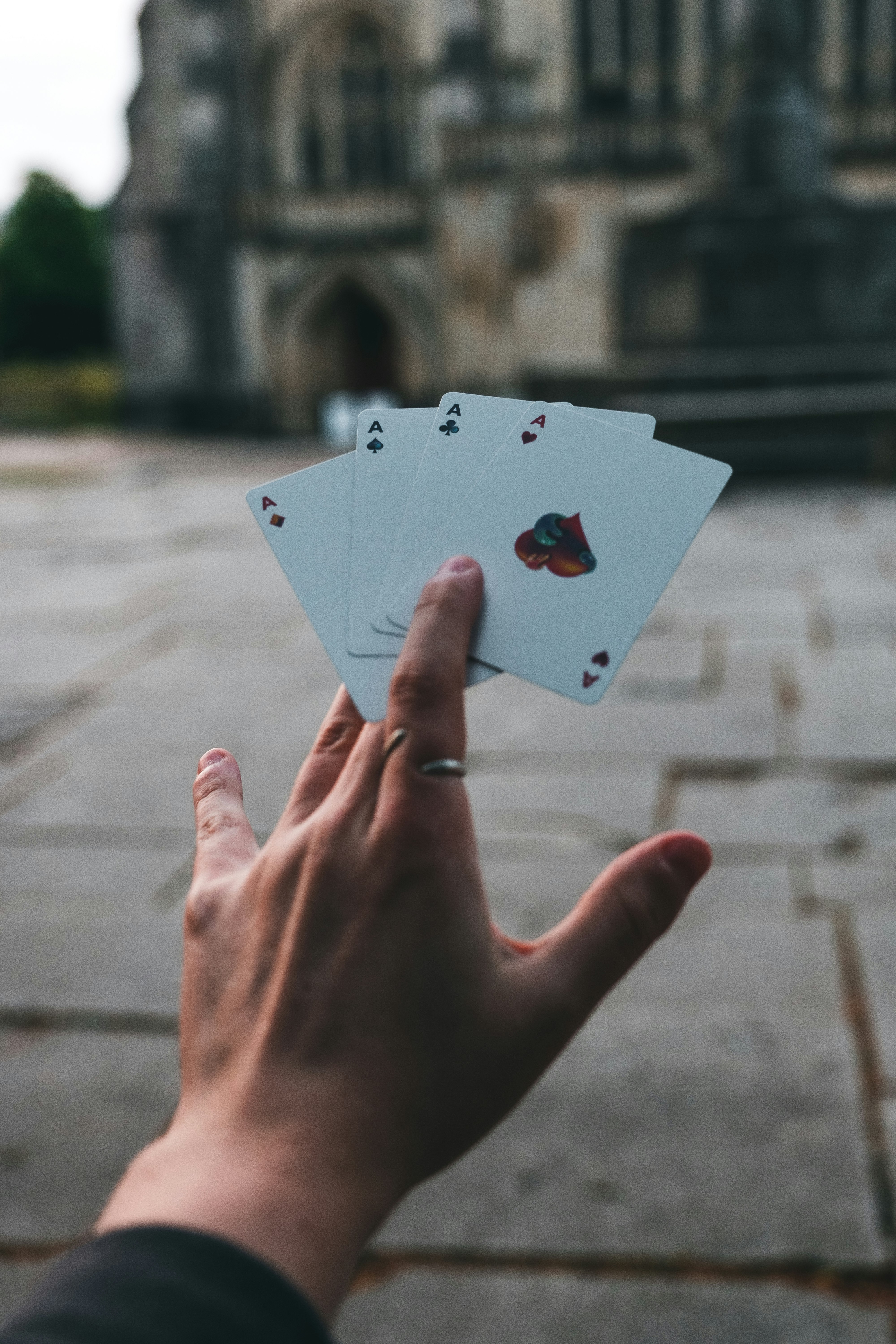 Electrifying wins: Study gambling's path to ultimate fortune