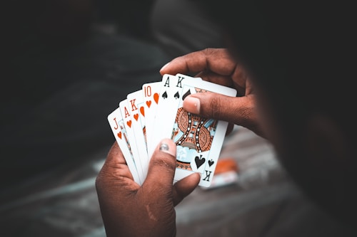 Unveil stable gambling strategies with Simsinos Casino's revolutionary player guide.