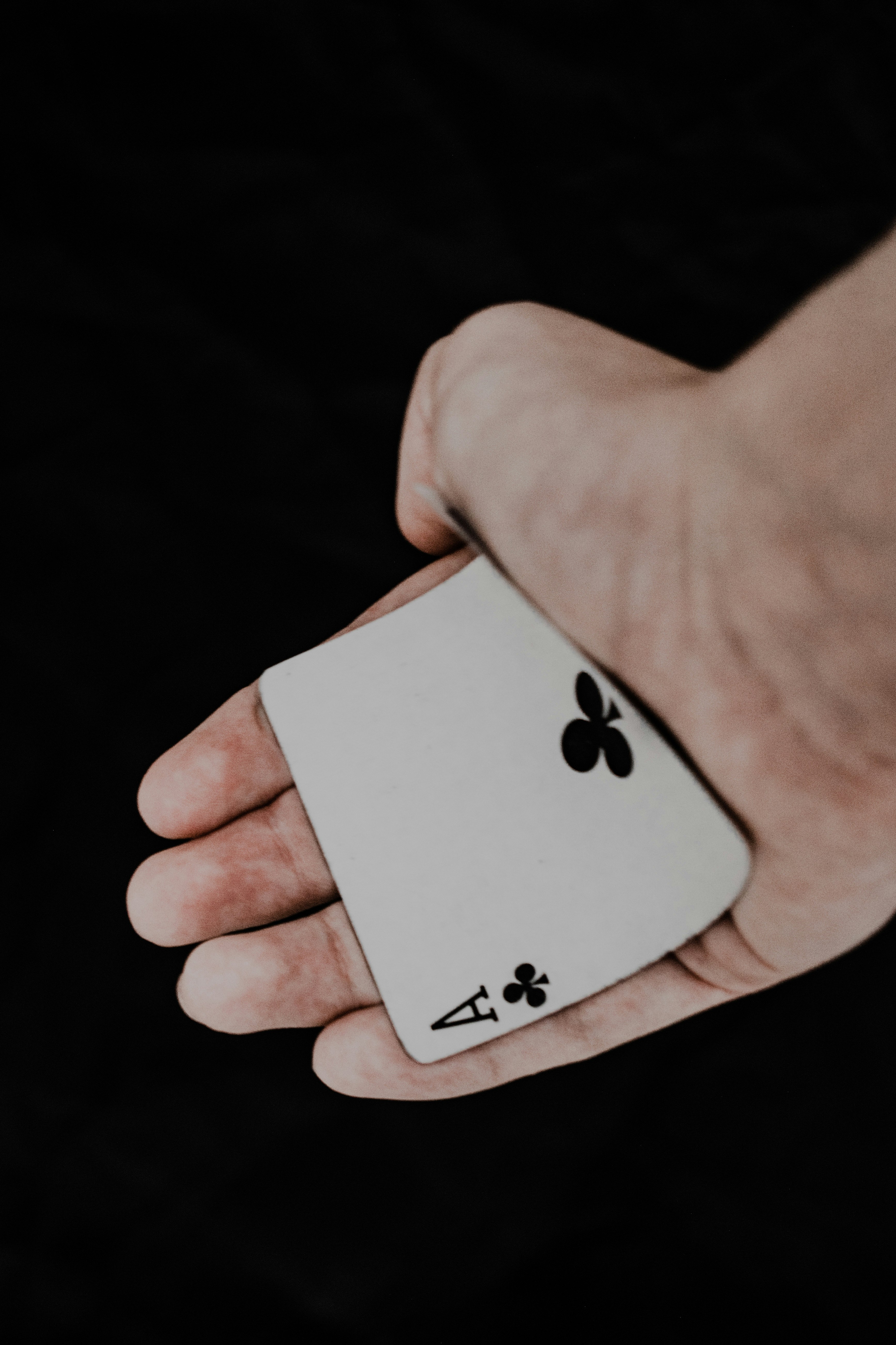 Cherish every win: develop clever gambling tactics for total success