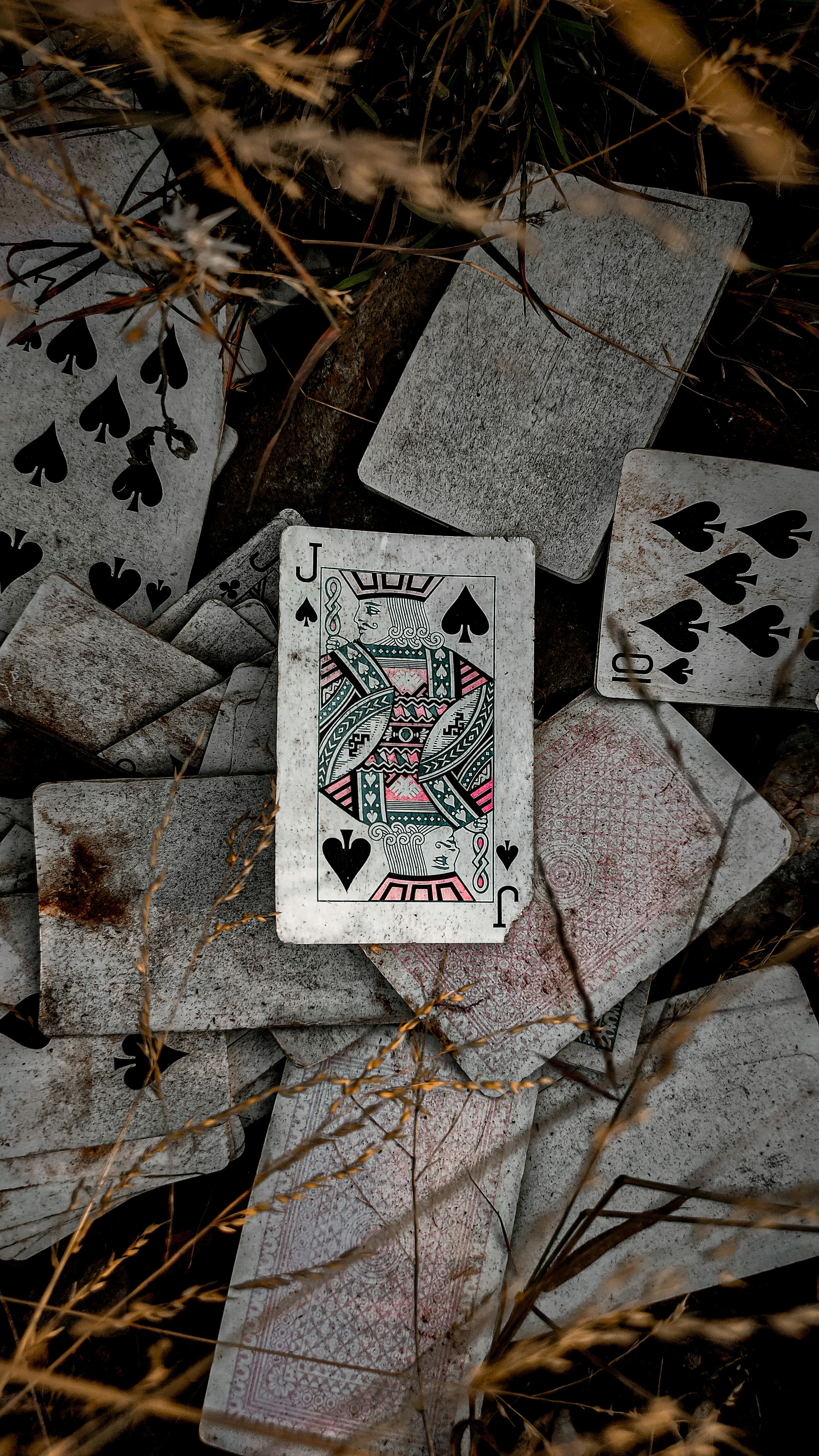 Gain genuine insights for exceptional gambling success